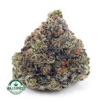 Buy Cannabis Bruce Banner AAAA at MMJ Express Online Shop