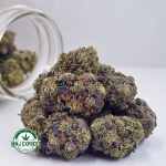 Buy Cannabis Bruce Banner AAAA at MMJ Express Online Shop