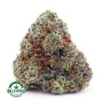 Buy Cannabis Ice Cream Cookies AA at MMJ Express Online Shop