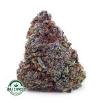 Buy Cannabis Orange Creamsicle AA at MMJ Express Online Shop
