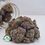 Buy Cannabis Orange Creamsicle AA at MMJ Express Online Shop