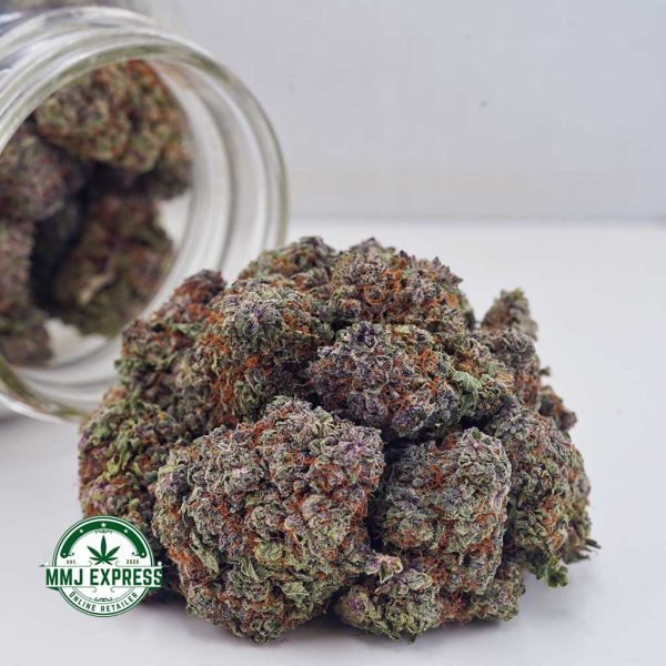 Buy Cannabis Orange Creamsicle AA at MMJ Express Online Shop