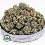 Buy Cannabis Pineapple Express AAAA (Popcorn Nugs) at MMJ Express Online Shop