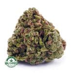 Buy Cannabis OG Skunk AAA at MMJ Express Online Shop