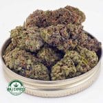 Buy Cannabis OG Skunk AAA at MMJ Express Online Shop