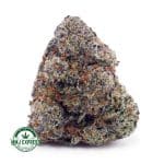 Buy Cannabis Blue Comatose AAA at MMJ Express Online Shop