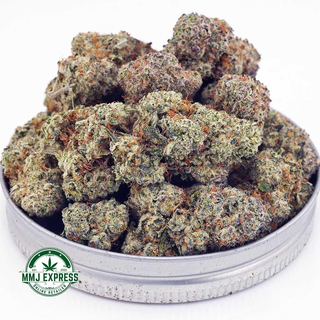 EA BLUECOMATOSE MMJ Buy Cannabis Blue Comatose AAA at MMJ Express Online Shop