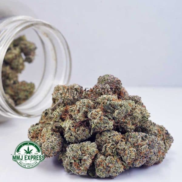 Buy Cannabis Blue Comatose AAA at MMJ Express Online Shop
