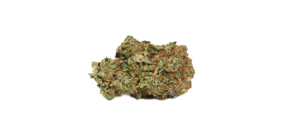 El Chapo strain has high THC levels, averaging between 19% and 23%. This makes it a mid-ranger on the potency scale, meaning it can be enjoyed by anyone.