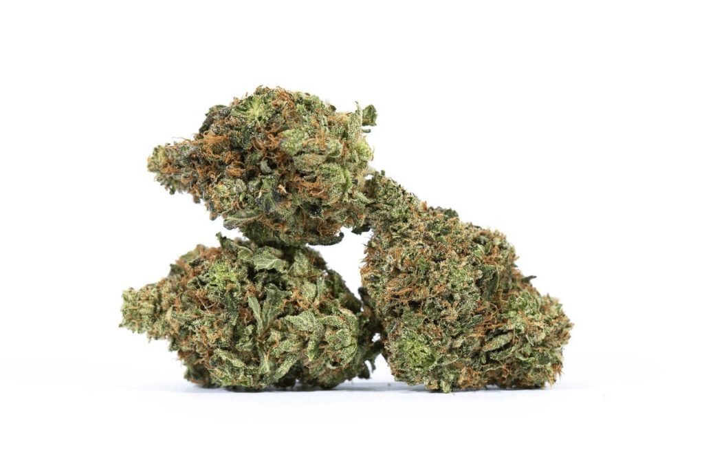 Is the El Chapo strain worth trying? This blog looks at the El Chapo OG weed strain, its effects, & flavour to determine if it is worth buying in Canada.