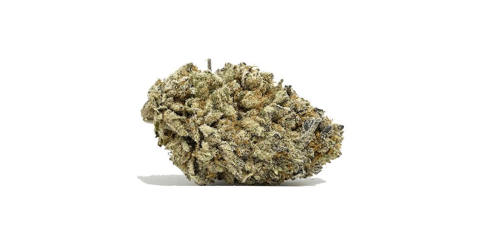 This strain has a robust terpene profile responsible for its aroma and flavour. The terpenes are also responsible for some of its effects and benefits.