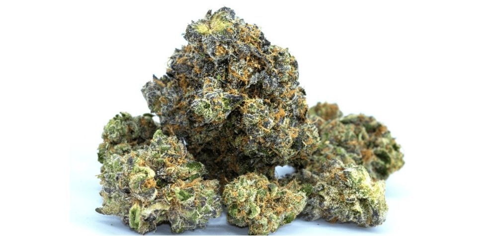 After successfully choosing the best weed store online in Canada, the next step is to pick your favourite weed product.