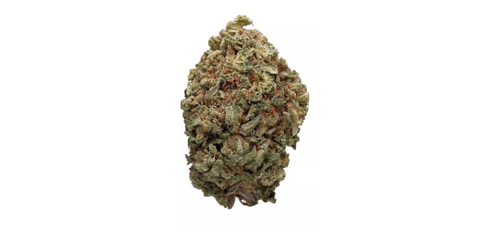 Indica-leaning strains typically have smaller, more compact nugs— the Fruity Pebbles strain is an exception to the rule. 