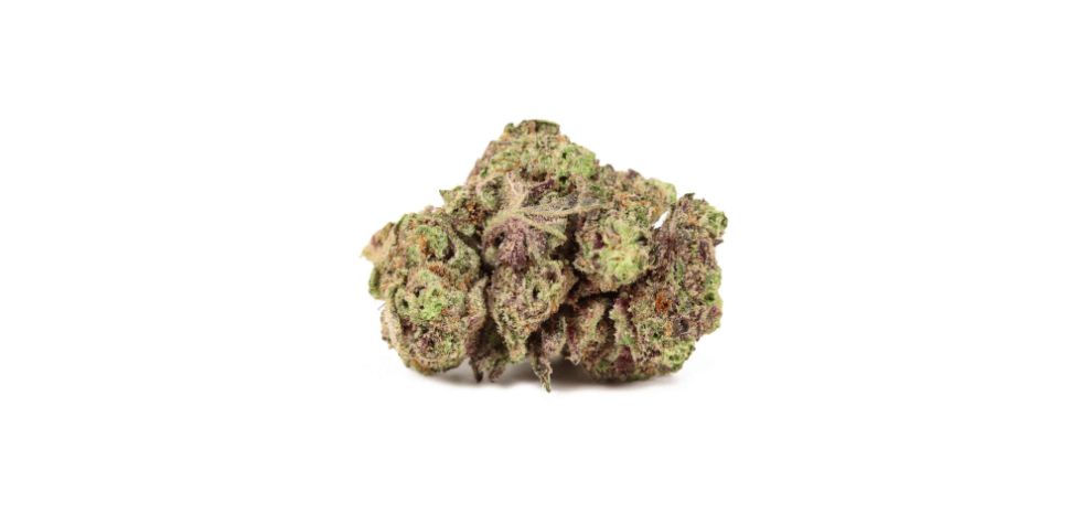 The Fruity Pebbles strain contains 55% indica and 45% sativa genetics. It is, therefore, an almost balanced hybrid. 