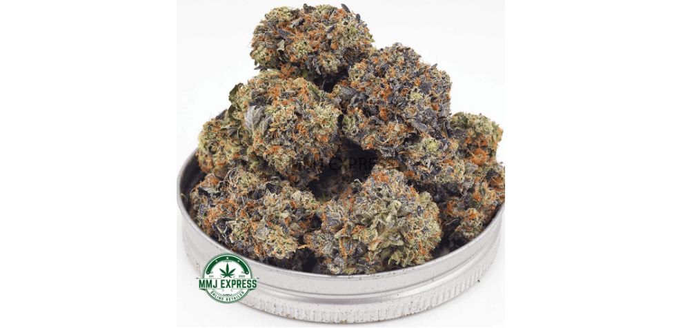 In the mood for a top-shelf Indica? Order weed online and try the Gassy Gelato AAAA+, a 75 percent Indica with around 27 percent THC! 