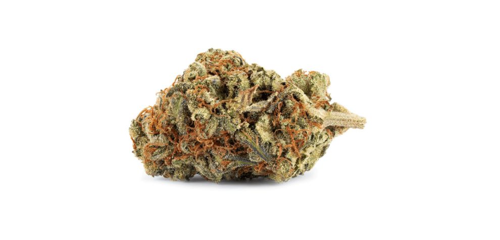 As with any guide, this Ghost Train Haze strain review is all about the effects! What can you expect after taking a puff or two of Ghost Train Haze? 