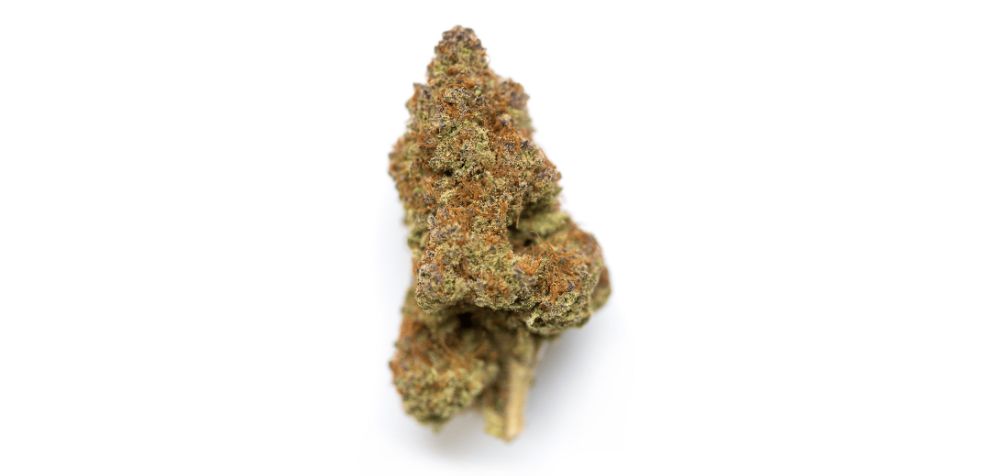 The Ghost Train Haze strain is a rare and mythical sativa-leaning strain (80 percent Sativa and 20 percent Indica) with anything but "basic" genetics. 