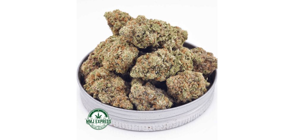 Looking for a tasty sativa strain with matching effects? Guava Cookies from MMJ Express, the leading mail-order marijuana dispensary, is the bud to get when you buy weed online.