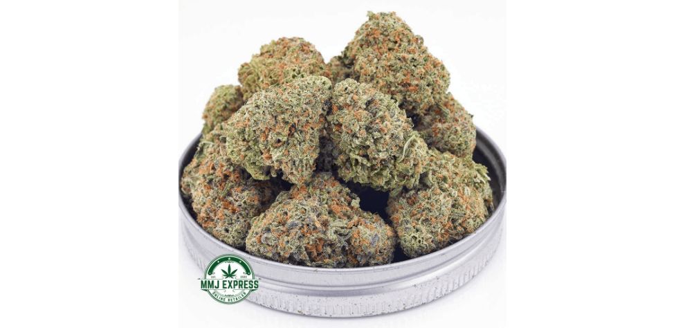 Jack Herer is one of the most recognizable sativa dominant strains in Canada. This potent strain is a result of a cross between Haze, Northern Lights#5, and Shiva Skunk.