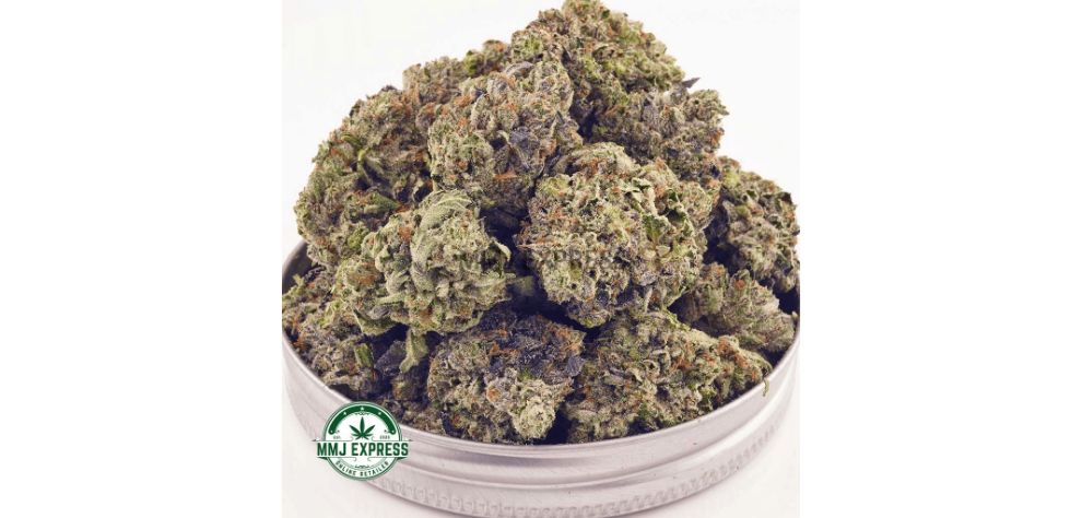 This strain induces heavy effects with consumers reporting complete body relaxation and stress relief. Order Kosher Kush online at MMJ Express, Canada’s leading online pot shop today.