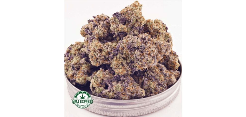Buy Miracle Alien Cookies at MMJ Express, the leading mail-order marijuana shop in Canada, today.