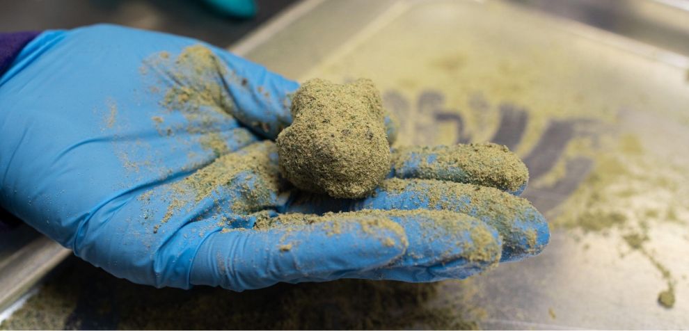 You want to buy weed online, get moonrocks, and forget about all the worries of life. 