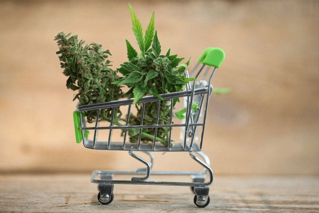 Find out why you need to order weed online & how to do it in a few simple steps. Not having time for shopping is not an excuse anymore! Read blog.