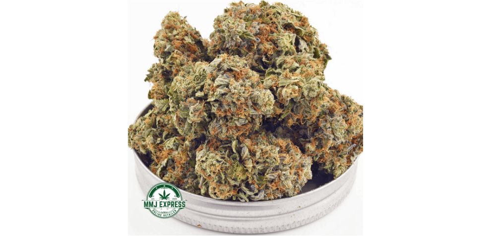 Buy weed online and smoke the Pink Death AAA, a pure Indica strain (100 percent Indica).