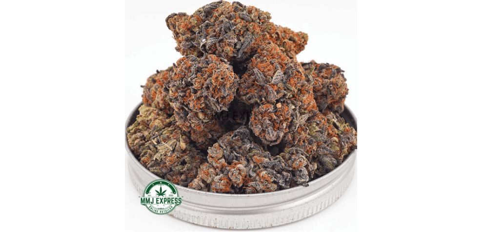 The high is energizing and euphoric, just like the Ghost Train Haze strain effects. However, the flavours and the aromas make the Purple Haze special. 