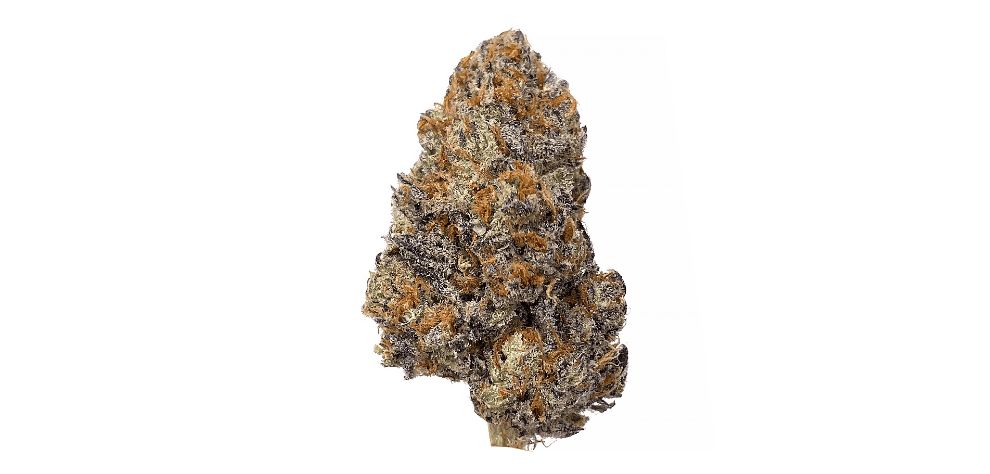 MMJ Express is the leading online marijuana shop in Canada known for its extensive selection of potent sativa, indica and hybrid strains. 