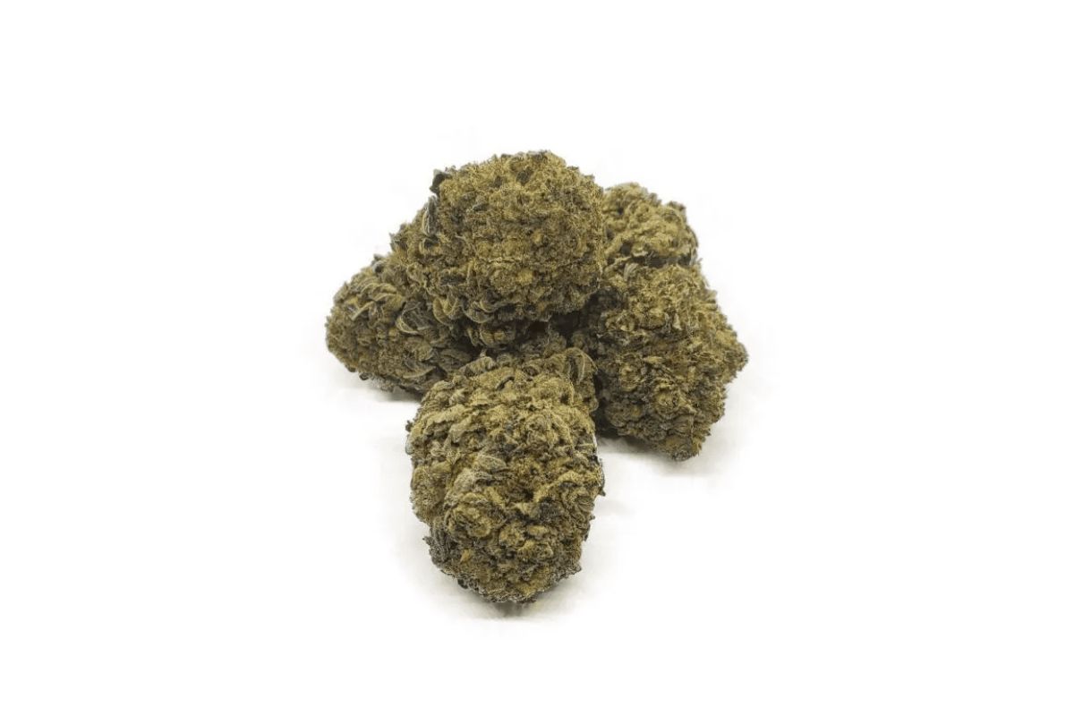 The Death Star strain is a must for Indica fans who want to feel relaxed, peaceful, & positive. Discover its effects, flavours, & terpenes in this guide!