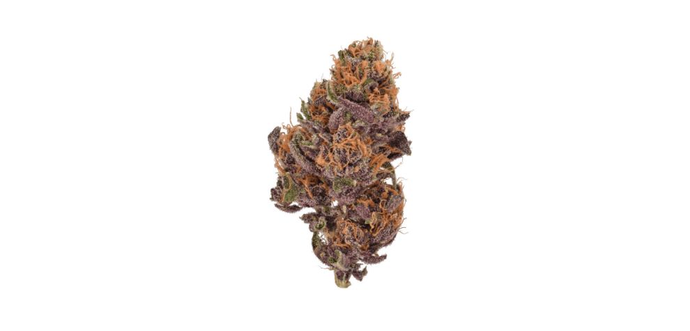 Like many other weed strains on the market today, Fruity Pebbles OG may help users cope with various medical conditions. 