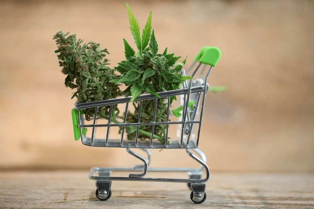 Explore the world of weed online in Canada - from online buying benefits to navigating the marketplace. Guide to convenient & safe online purchase.
