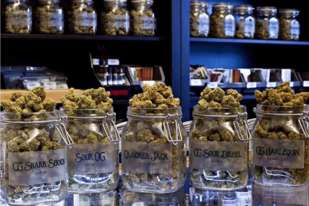 Discover the best weed store online & unlock a world of cannabis convenience! Visit the best weed store for quality pot & expert shopping tips. 