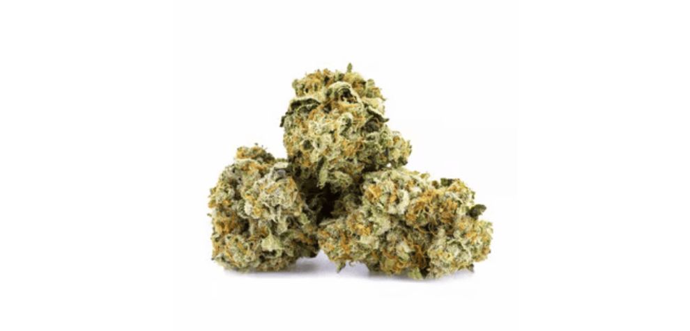 The Animal Face strain is a Sativa hybrid, so the effects are predominantly electrifying and memory-boosting.