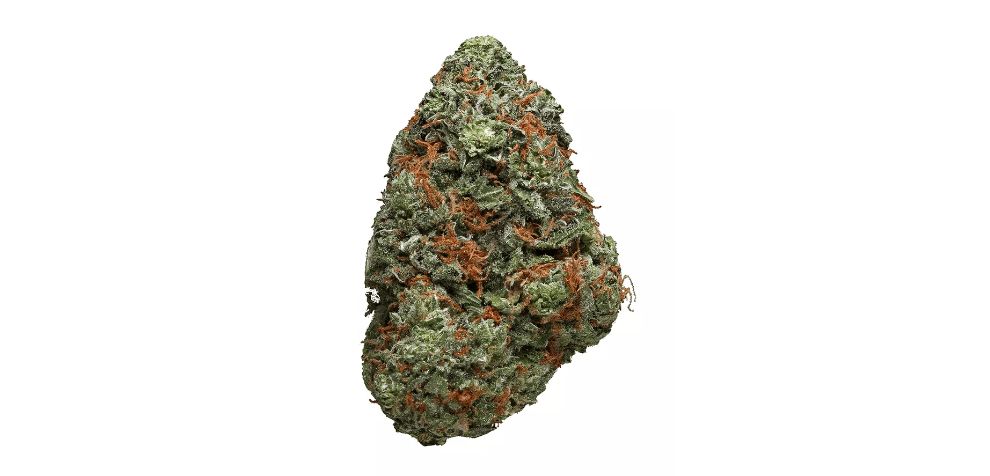 If you buy Canadian weed online from a fantastic dispensary, you can expect THC levels to hover around 27 percent! That said, the THC content of the Death Star strain typically starts from 18 percent and up. 
