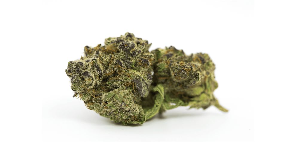 The Ghost Train Haze is a potent Sativa with a bit of Indica genes. As such, its effects are cerebral - no haziness, laziness, and sloth-like behaviour! Pure energy and vitality is what you will get from Ghost Train Haze.
