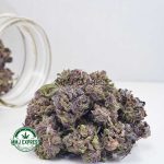 Buy Cannabis Purple Amnesia AAAA (Popcorn Nugs) at MMJ Express Online Shop