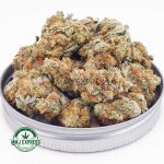 Buy Cannabis Jack Frost AAA at MMJ Express Online Shop