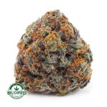 Buy Cannabis Peyote Cookies AAAA at MMJ Express Online Shop