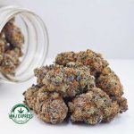 Buy Cannabis Peyote Cookies AAAA at MMJ Express Online Shop
