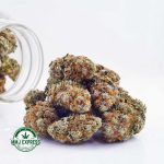 Buy Cannabis Juicy Fruit AAAA at MMJ Express Online Shop