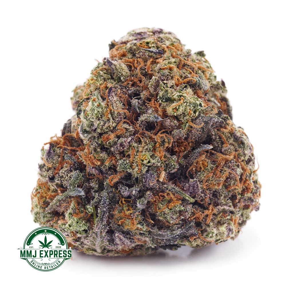 Buy Cannabis Purple Punch AAAA at MMJ Express Online Shop