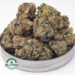 Buy Cannabis Purple Trainwreck AAA at MMJ Express Online Shop
