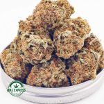 Buy Cannabis Tahoe OG AA at MMJ Express Online Shop