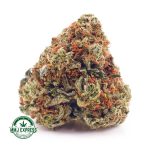 Buy Cannabis OG Kush AA at MMJ Express Online Shop