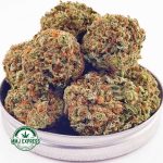 Buy Cannabis OG Kush AA at MMJ Express Online Shop