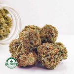 Buy Cannabis OG Kush AA at MMJ Express Online Shop