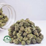 Buy Cannabis Gelato #33 AAAA (Popcorn Nugs) at MMJ Express Online Shop
