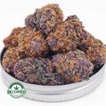 Buy Cannabis Huckleberry AAA at MMJ Express Online Shop